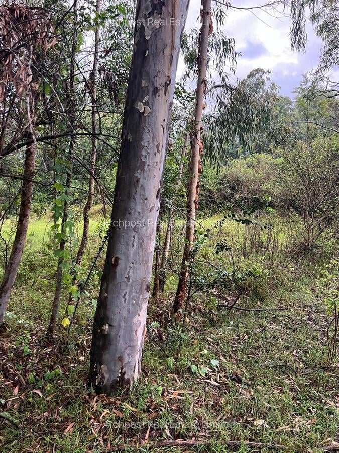 10 ac Commercial Land at Langata South Road - 5