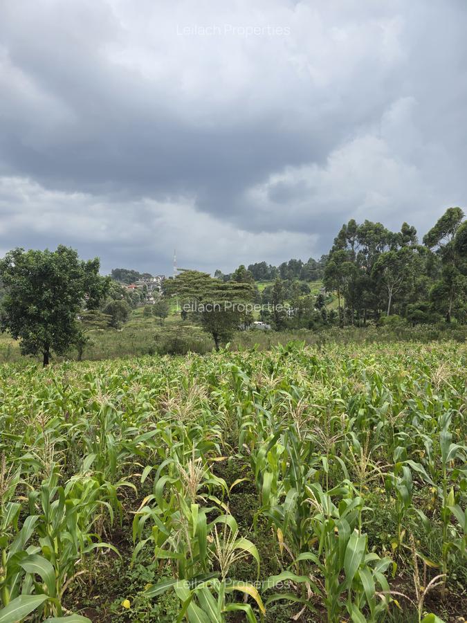 0.25 ac Residential Land in Ngong - 2