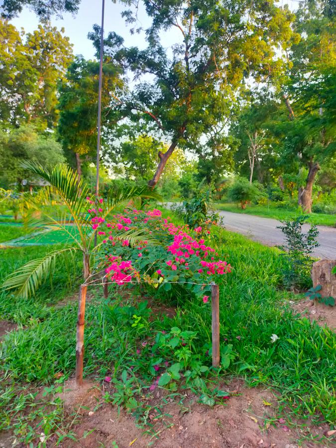 Residential Land in Nyali Area - 3