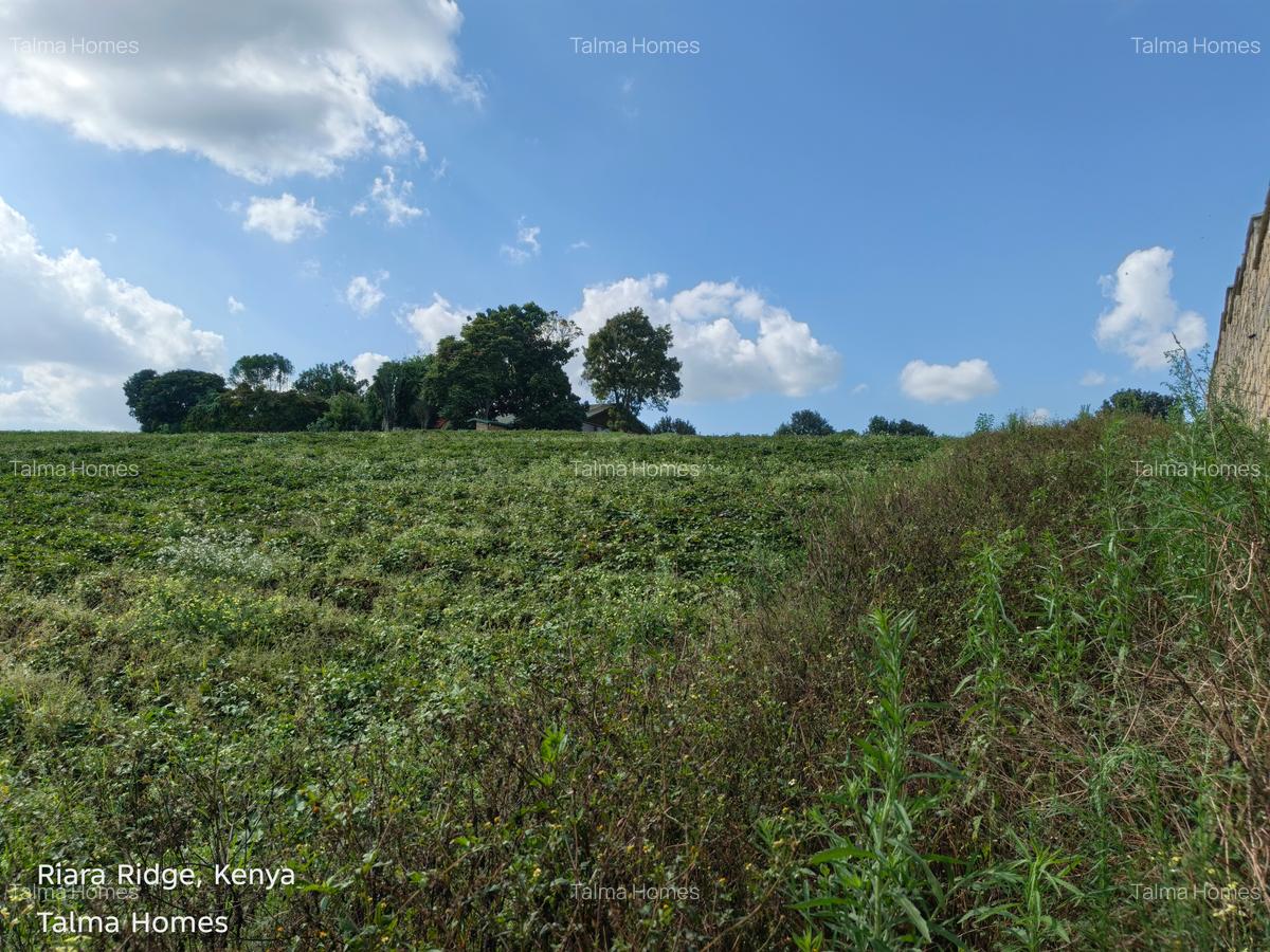 Land at Tigoni - 9