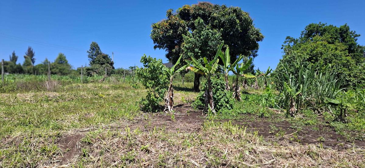 Residential Land at Olkeri - 7