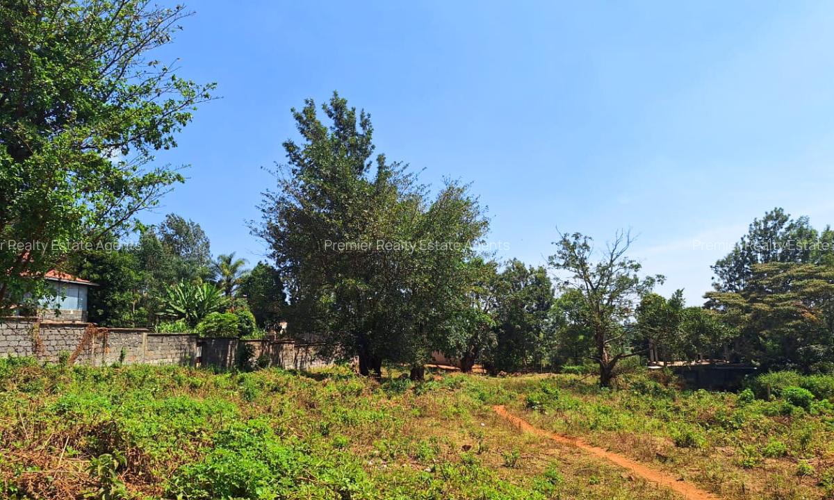 0.75 ac Commercial Land at Thindigua - 3