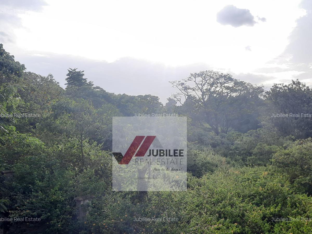 Commercial Land in Nyari - 1