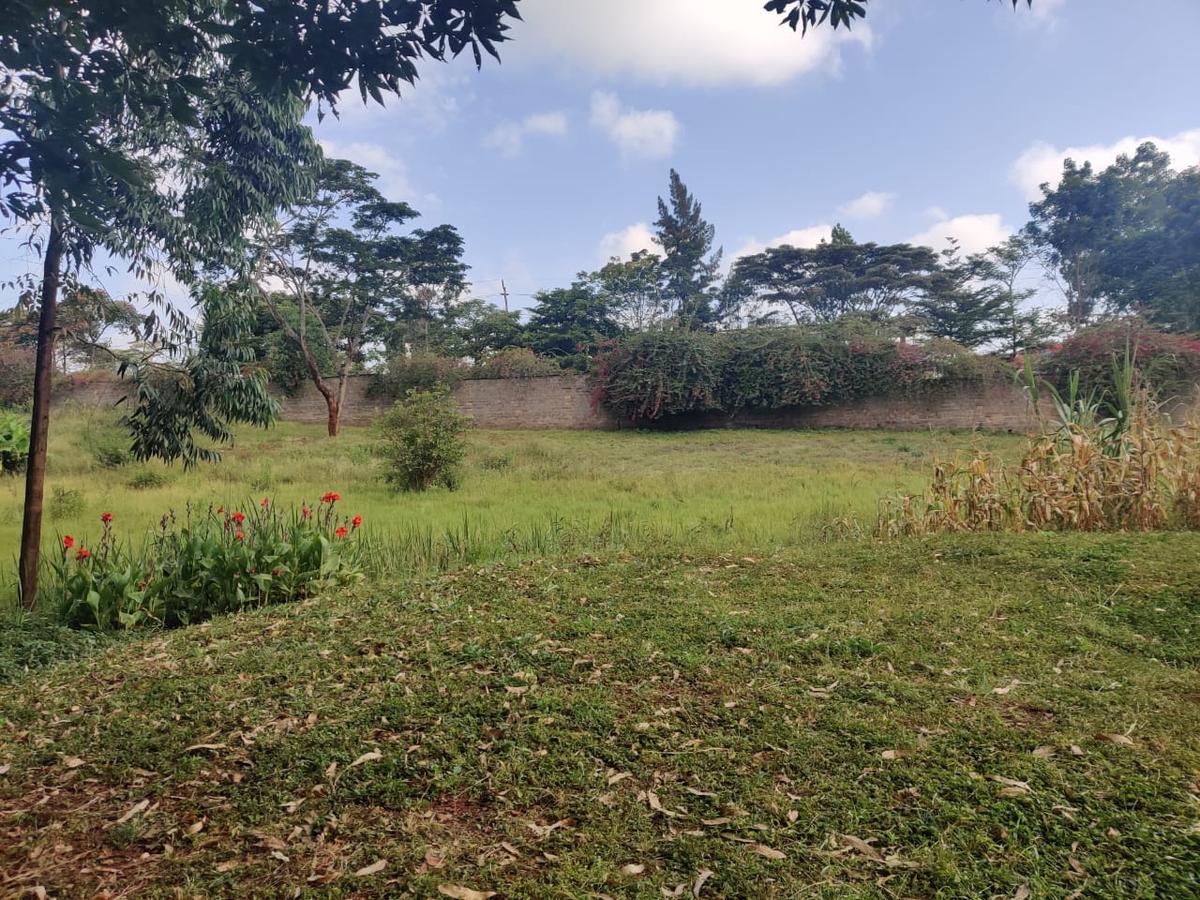 0.42 ac Land in Nyari - 3