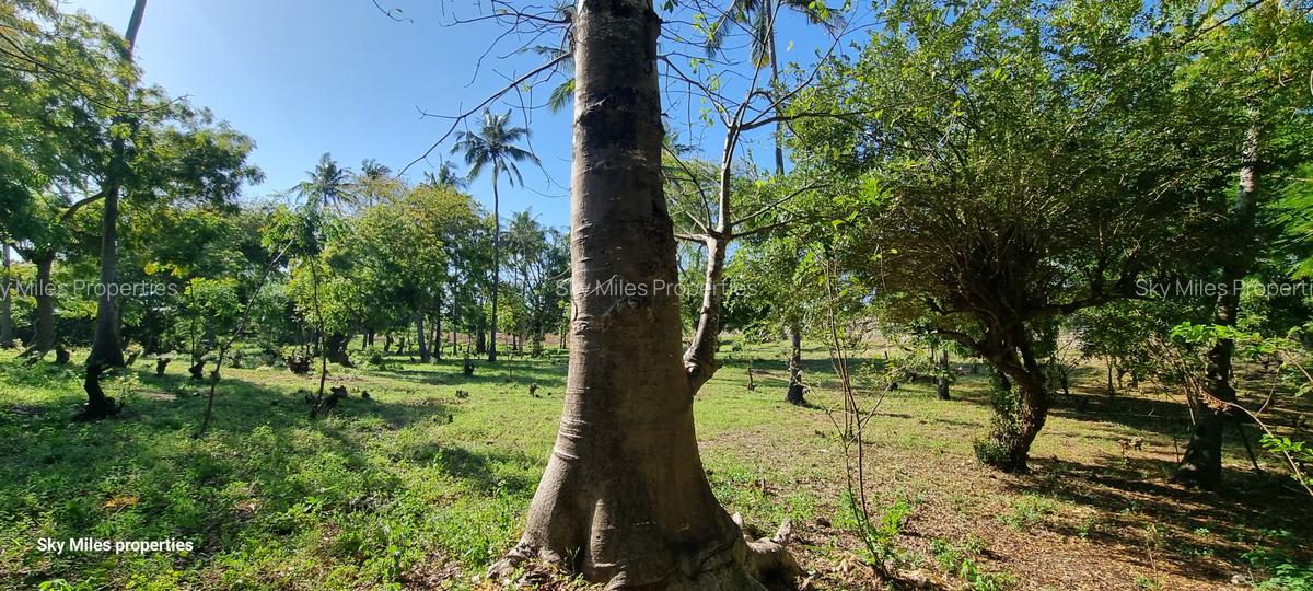 1,000 m² Land at Kikambala - 12