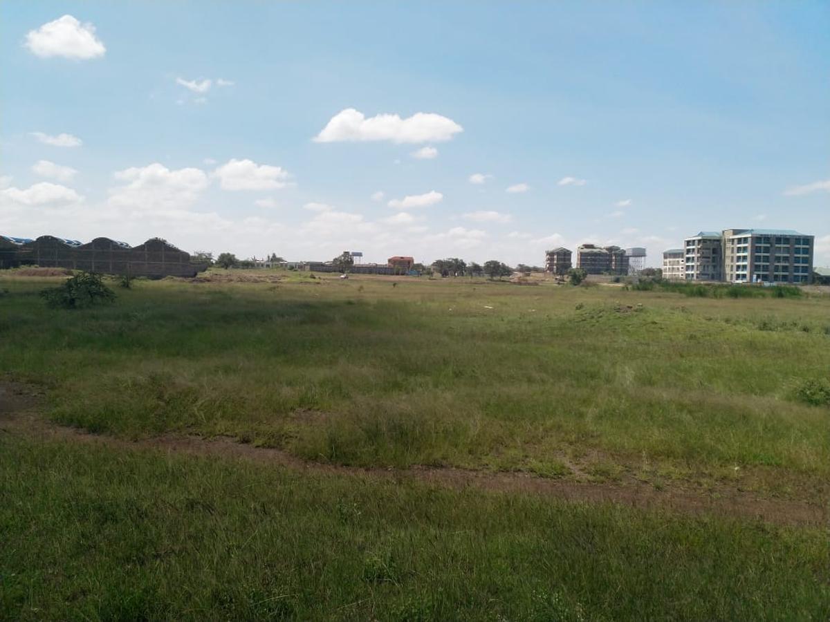 Land in Ruiru - 5