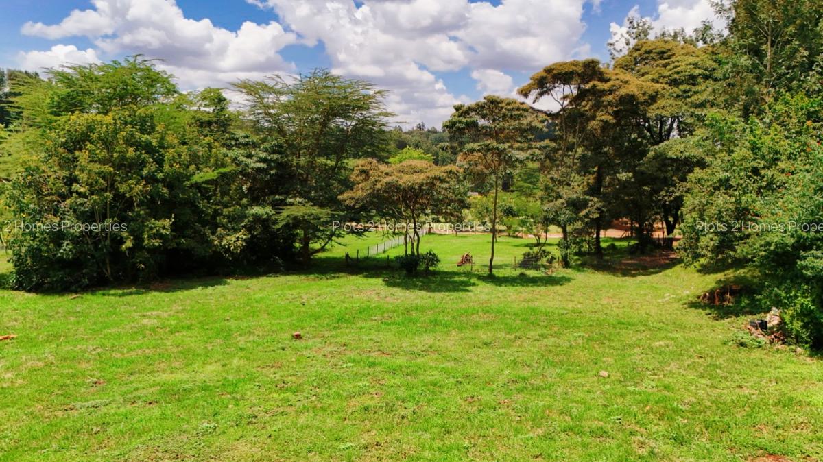 1,000 m² Residential Land at Bondeni - 12