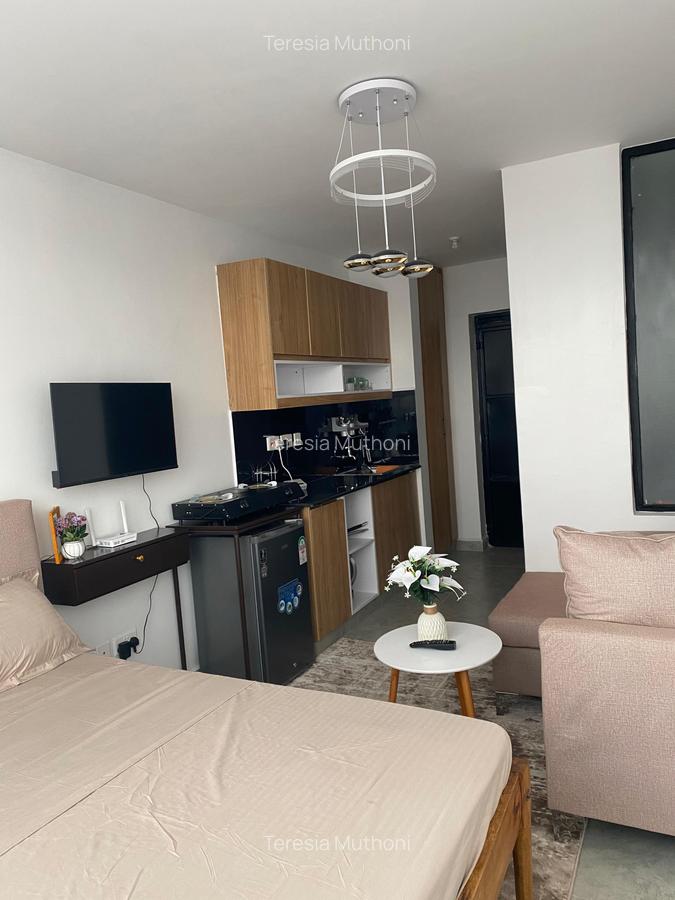 Furnished Studio Apartment with Borehole at Fedha Road - 9