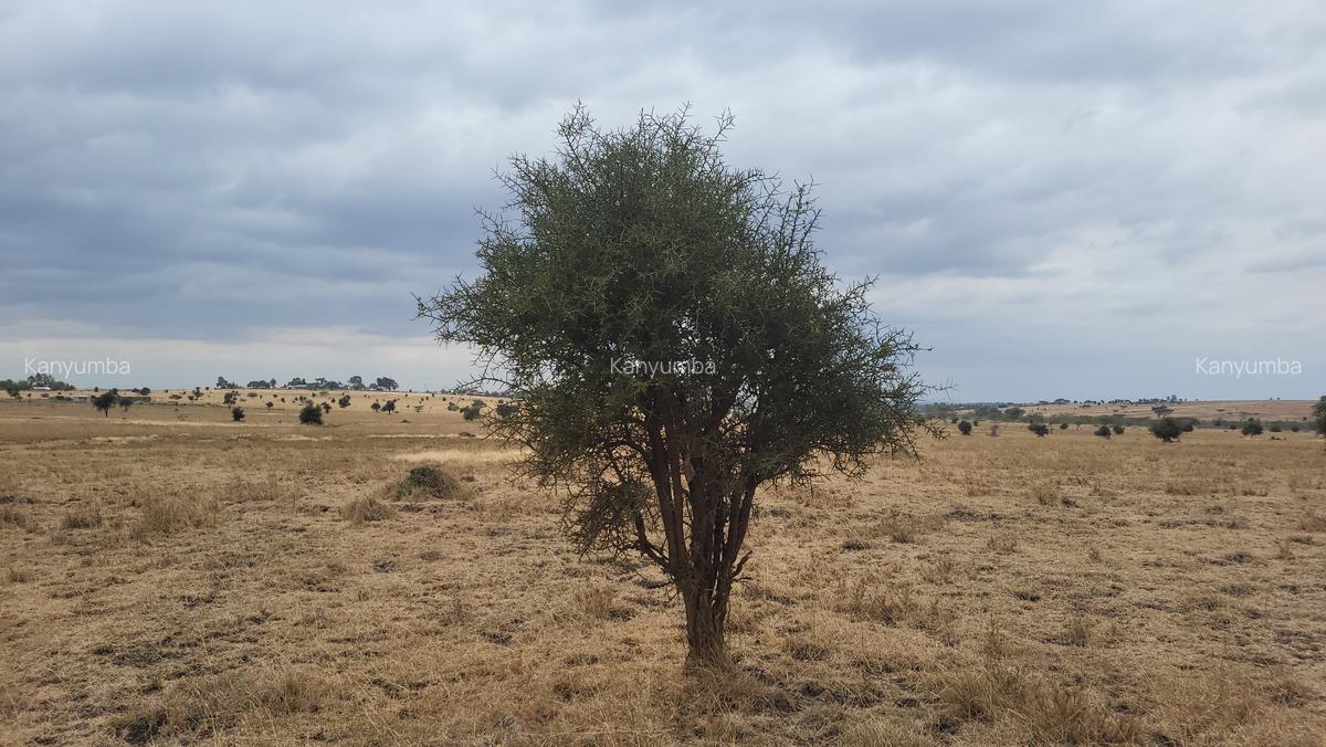 10 ac Land at Isinya - Inkiito Manoh - 18