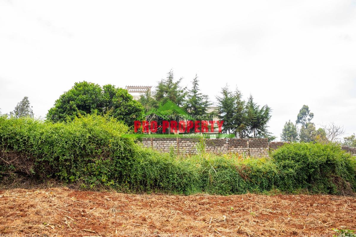 0.1 ha Residential Land in Kikuyu Town - 5