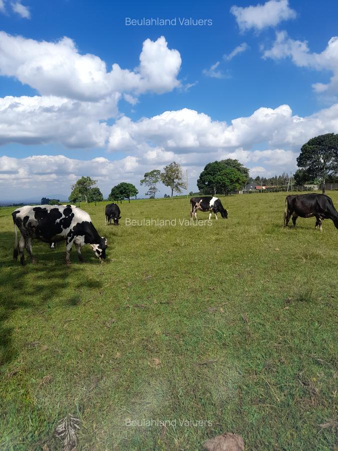 Land at Kiambu Road - 6