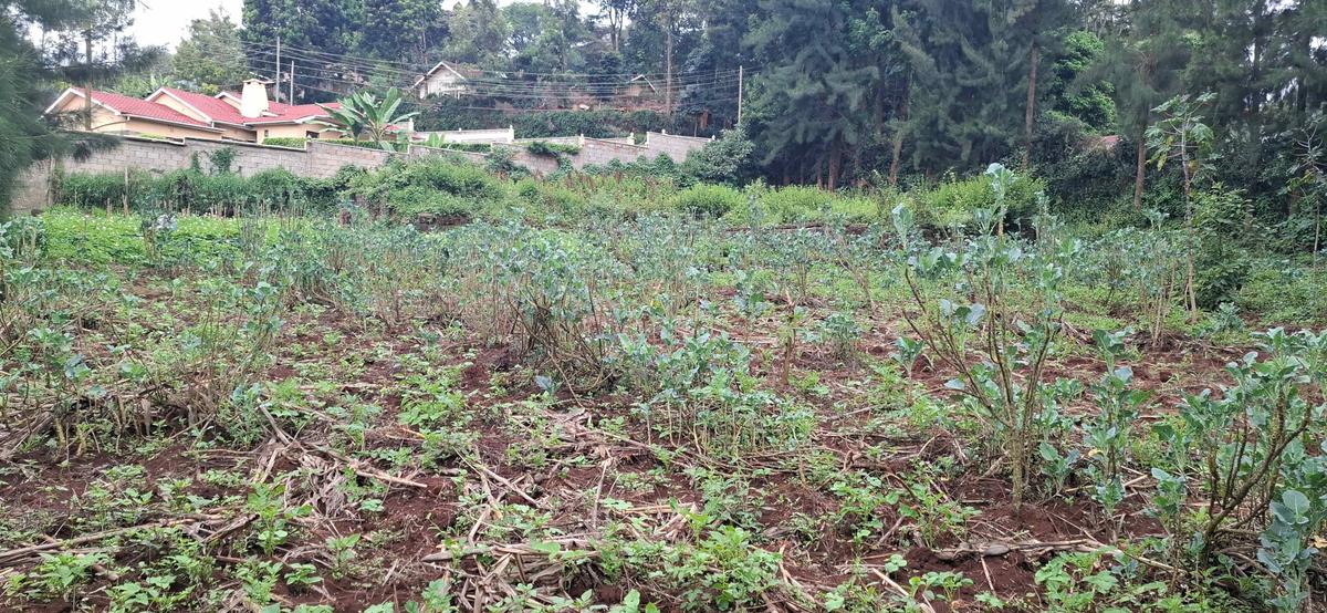 0.5 ac Land in Ngong - 10