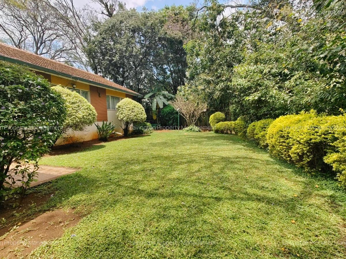 0.8 ft² Commercial Land at Majimzuri - 9