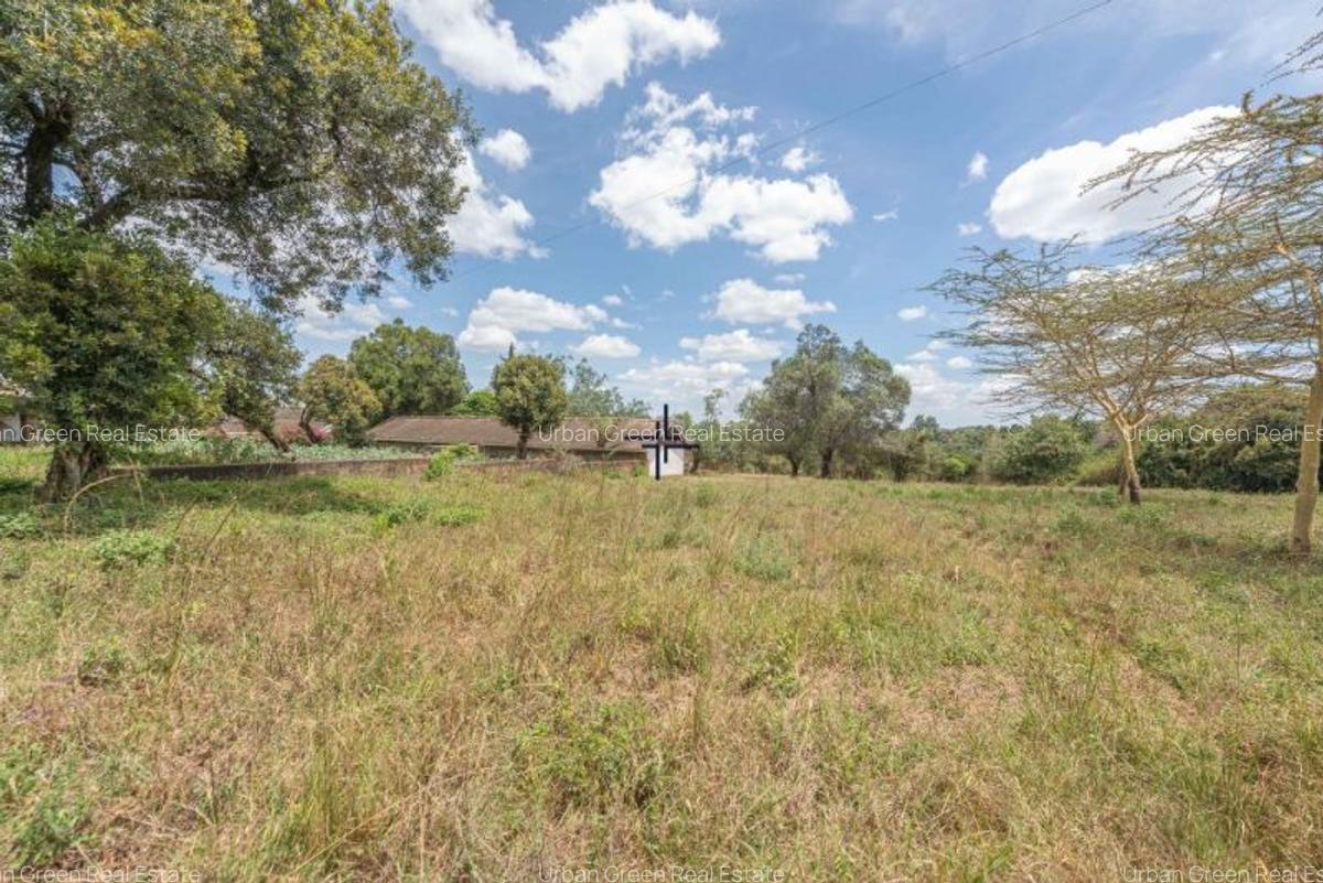 1 ac Land at Miotoni - 7