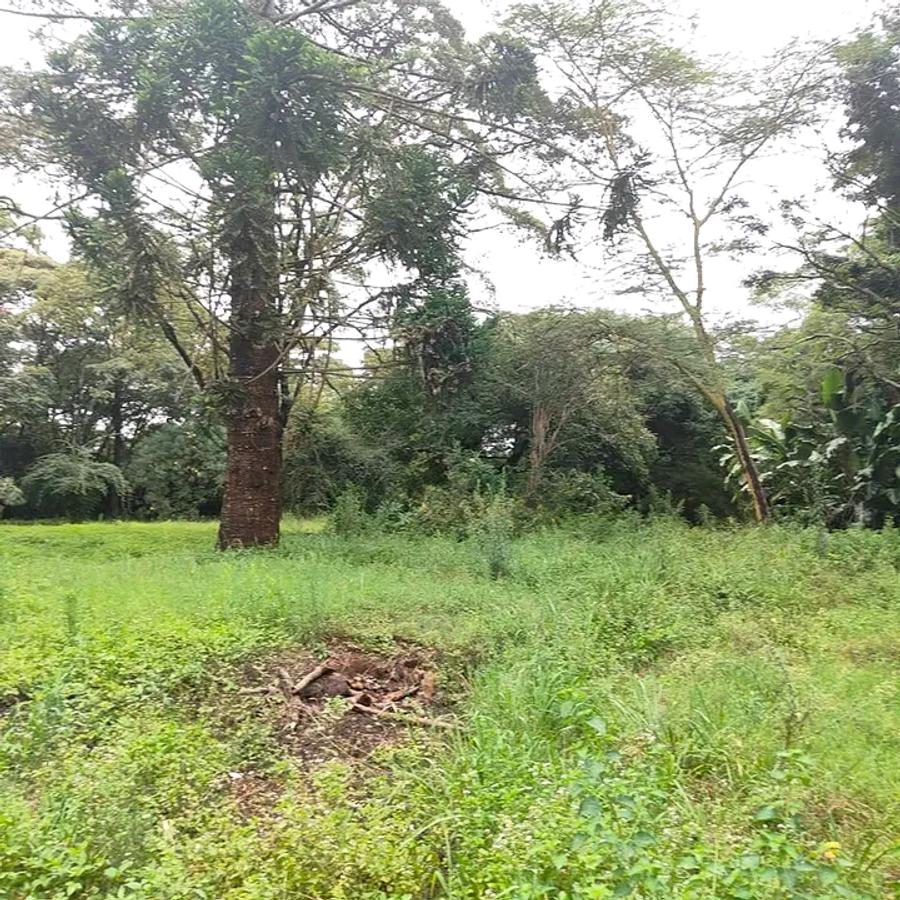 200 ac Land at Kilimani - 8