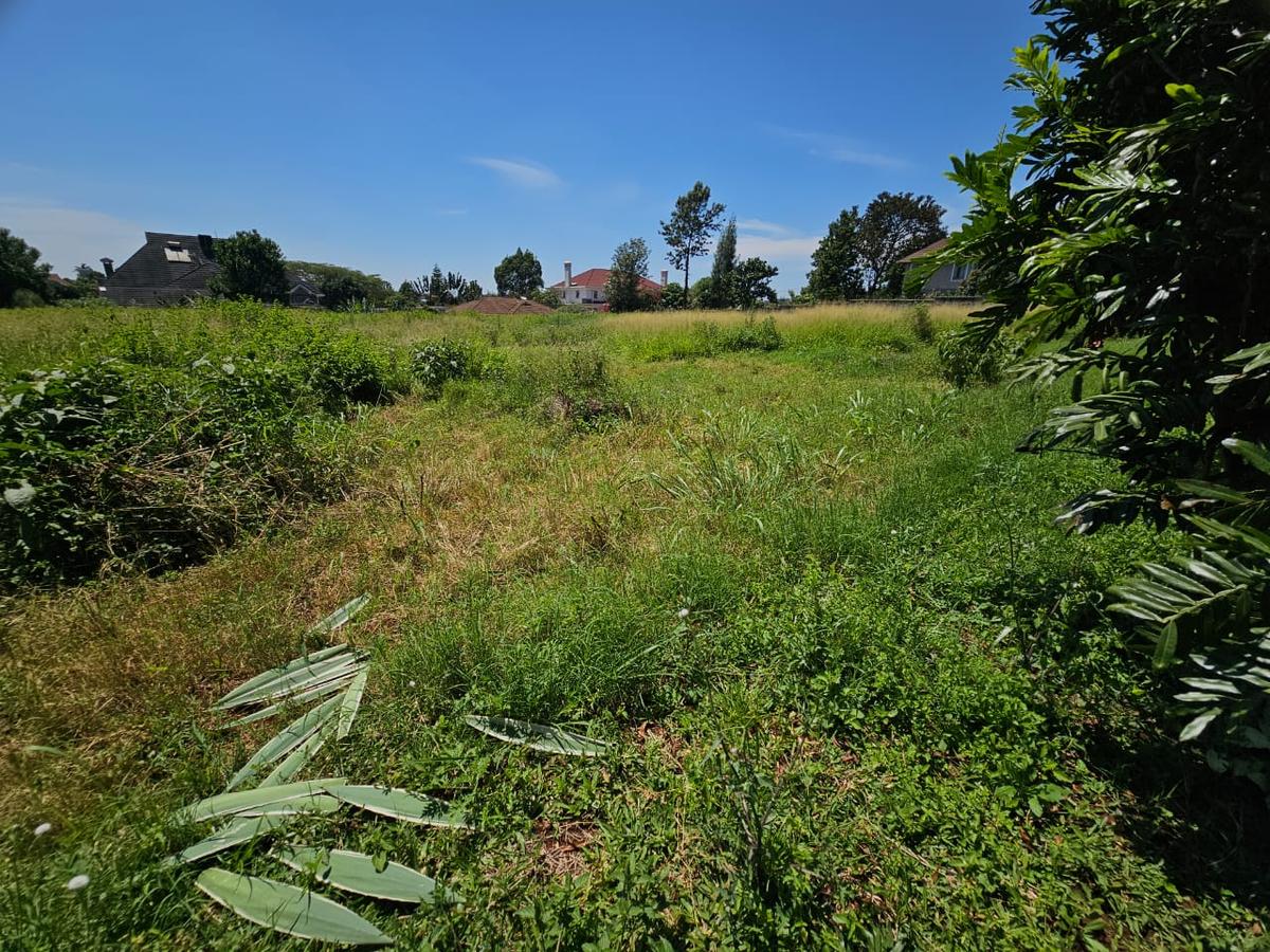 1 ac Land in Kiambu Road - 2