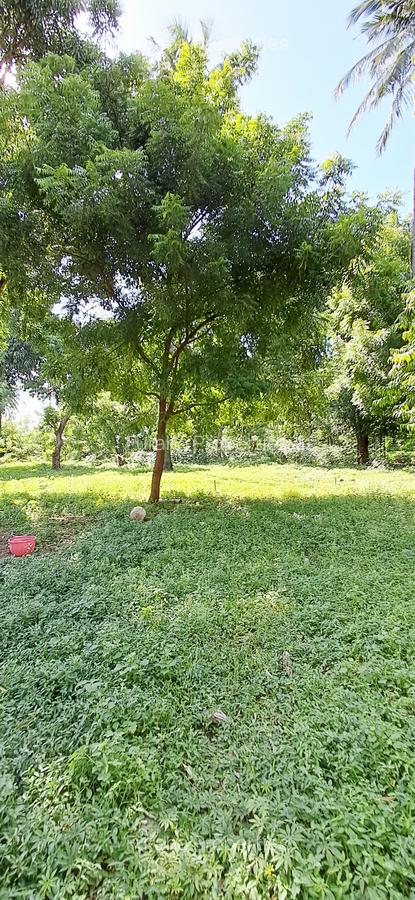 Land at Mtwapa - 17