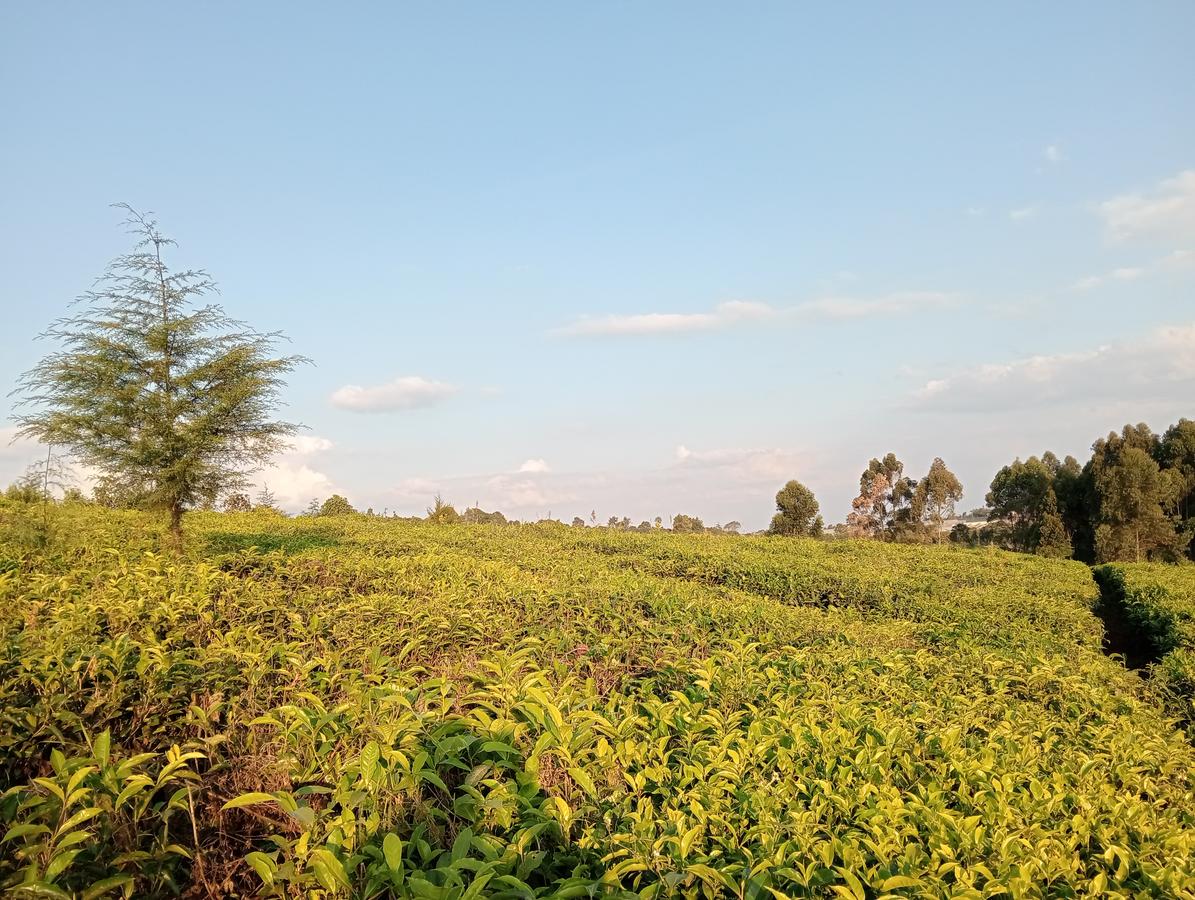 0.5 ac Land in Tigoni - 1