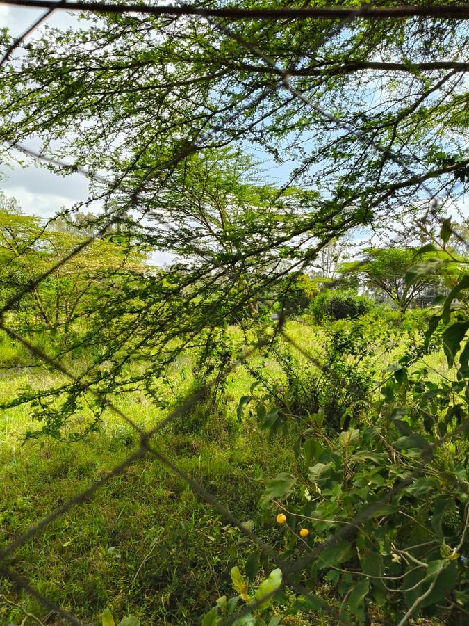 Residential Land at Mukoma - 8