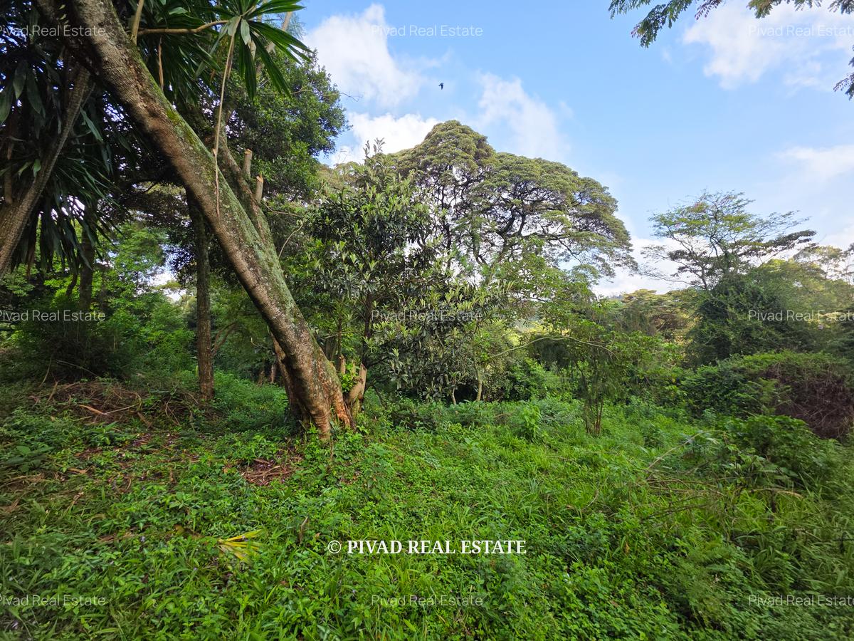 4.8 ac Land in Lower Kabete - 1
