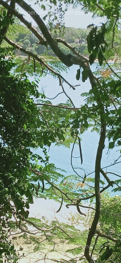 Land in Kilifi County - 9