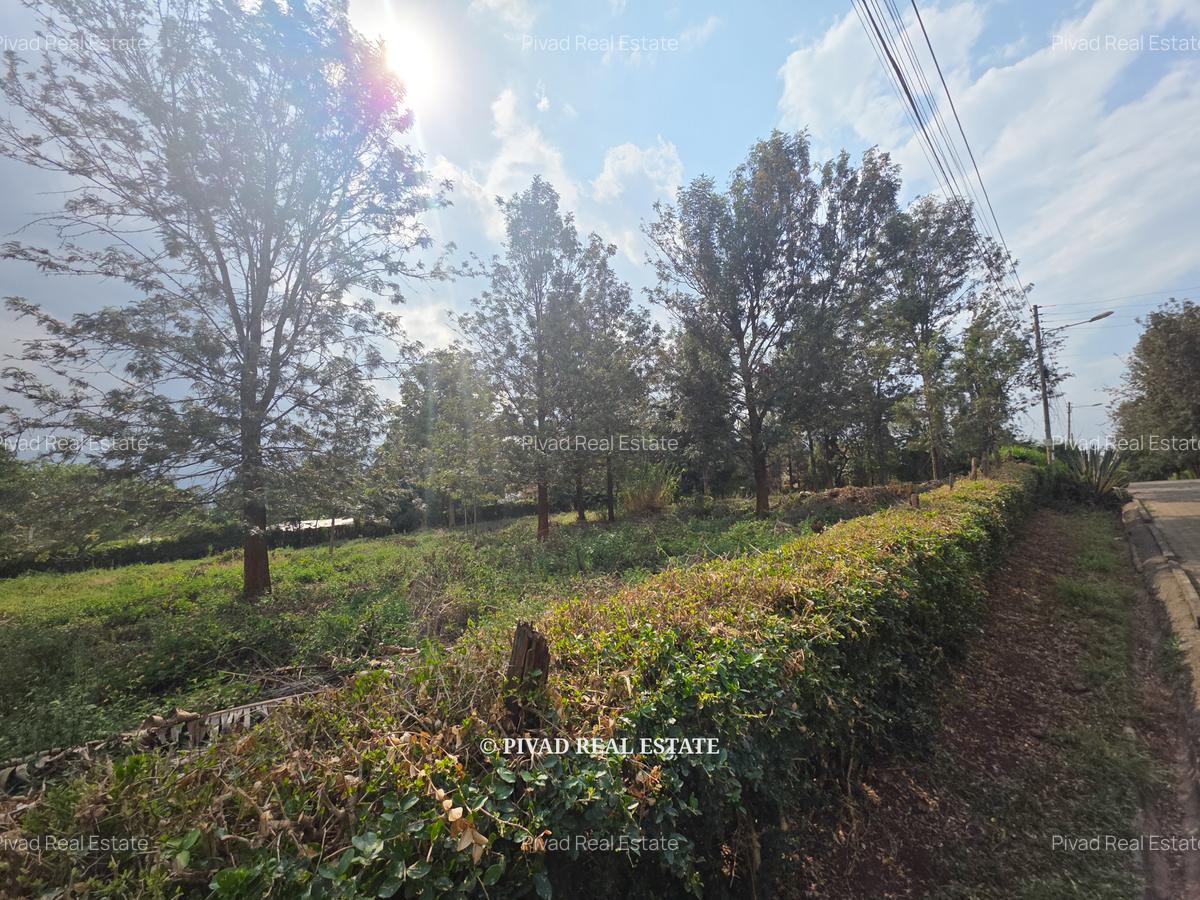0.5 ac Residential Land in Ridgeways - 3