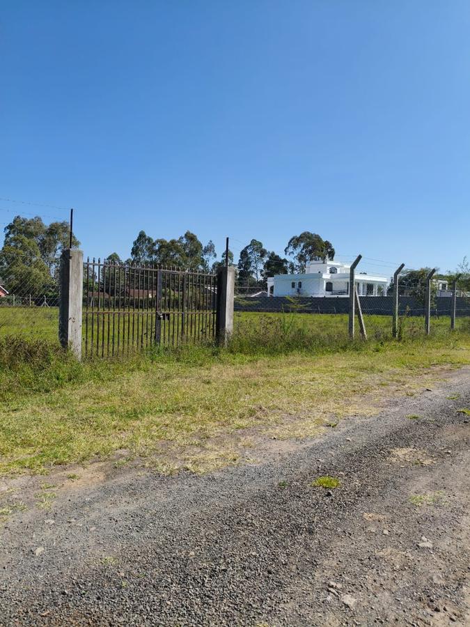 Residential Land at Marula Road - 10