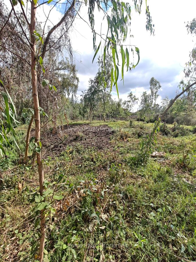 0.5 ac Land in Karen - 3