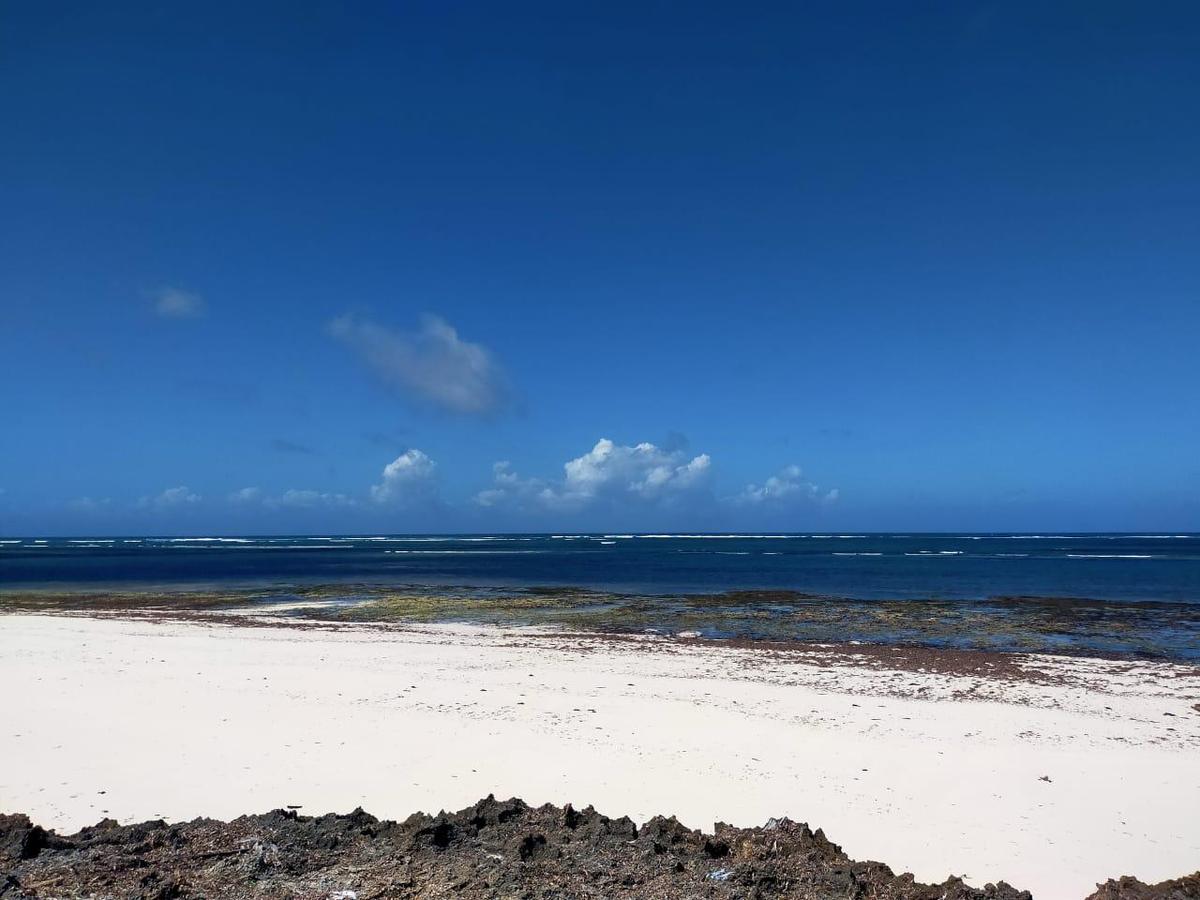 Land in Kilifi County - 18