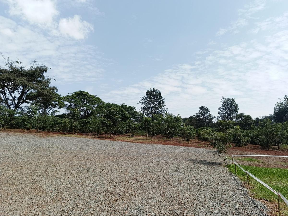 Residential Land at Tatu City - 4