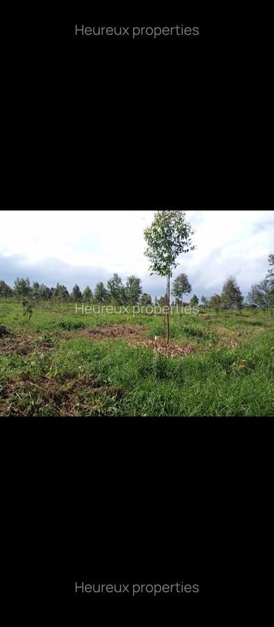 Land at Riara Ridge - 4