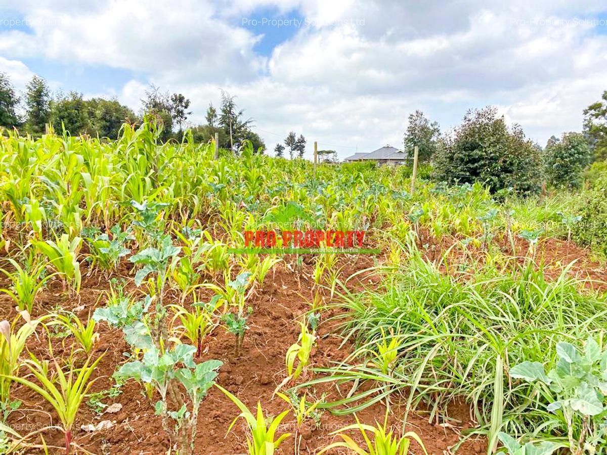 0.05 ha Land in Limuru - 3