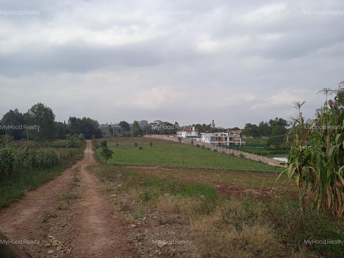 Land in Tigoni - 6