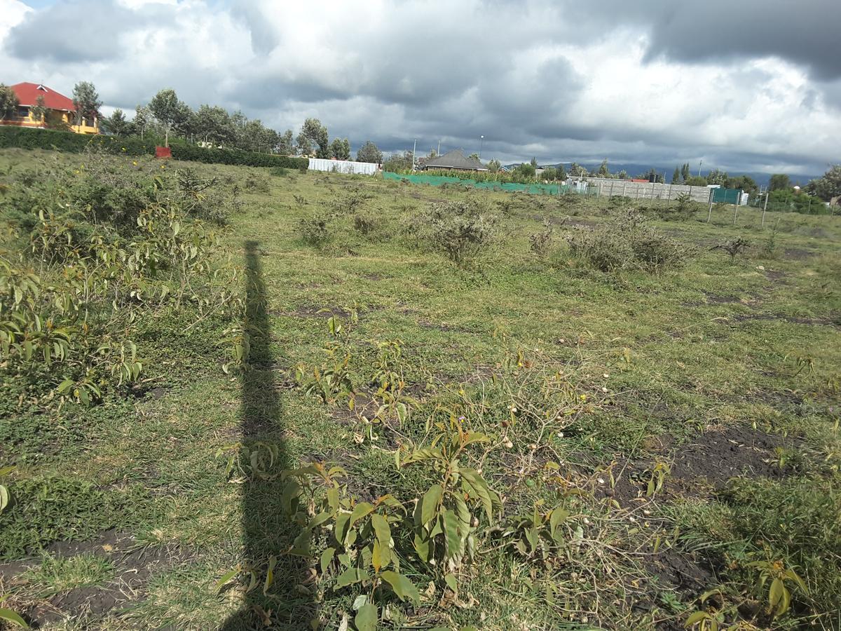 0.1 ha Residential Land in Ongata Rongai - 5