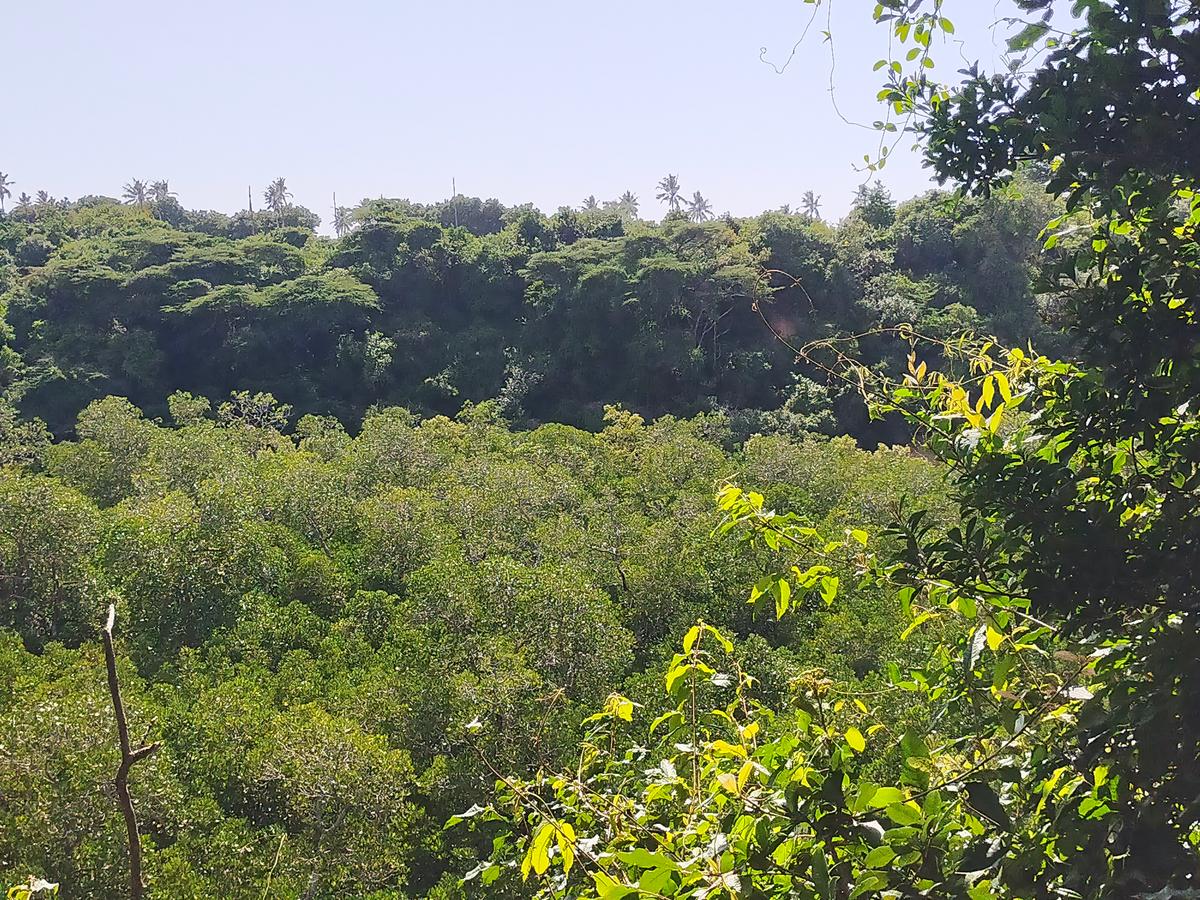 Land in Kilifi County - 11