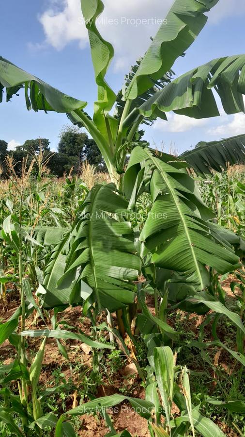 13 ac Land at Majaoni - 10