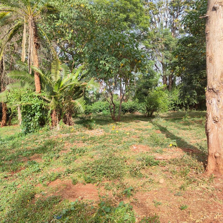 2.5 ac Residential Land at Old Kitisuru - 9