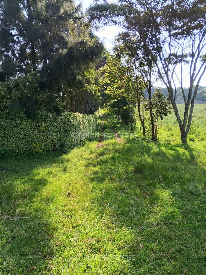 Land in Kikuyu Town - 12