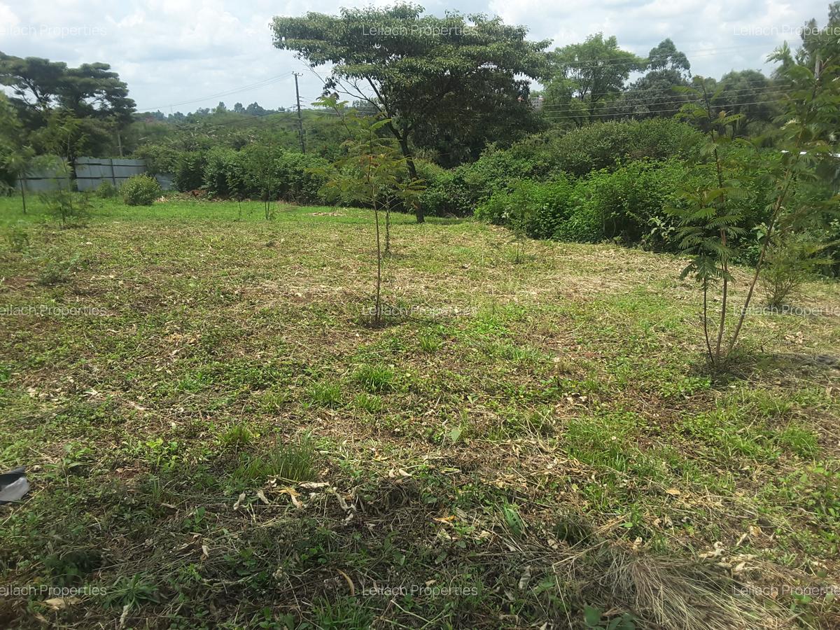 1 ac Land in Karen - 4