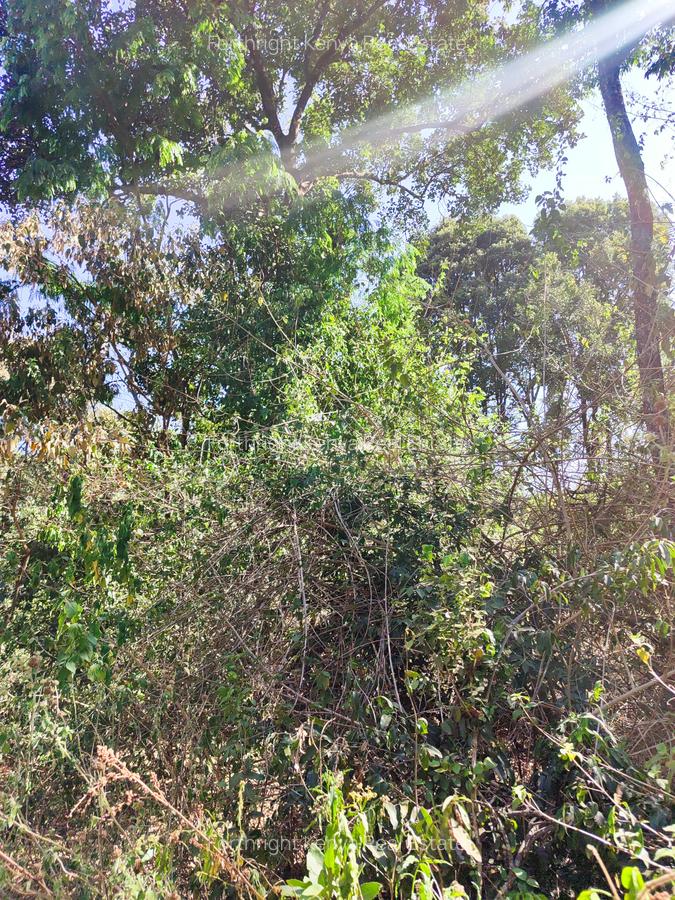 2.3 ac Land at Giraffe Centre - 18