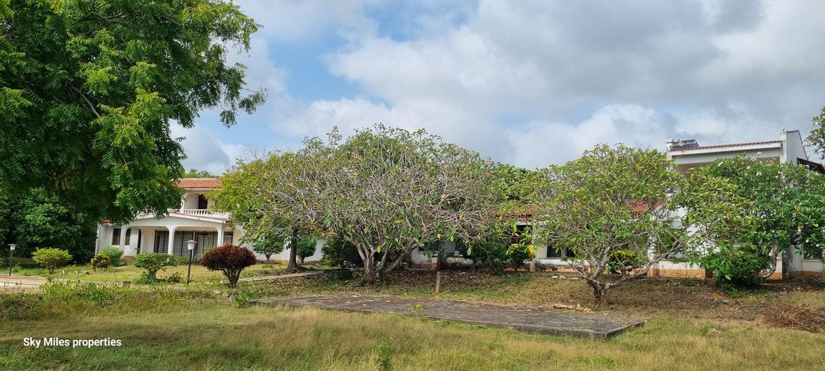 4.4 ac Land at Kuruwitu - 19