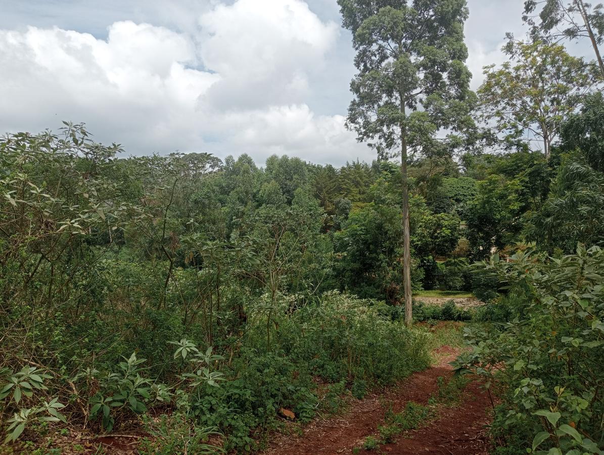 Residential Land in Runda - 1