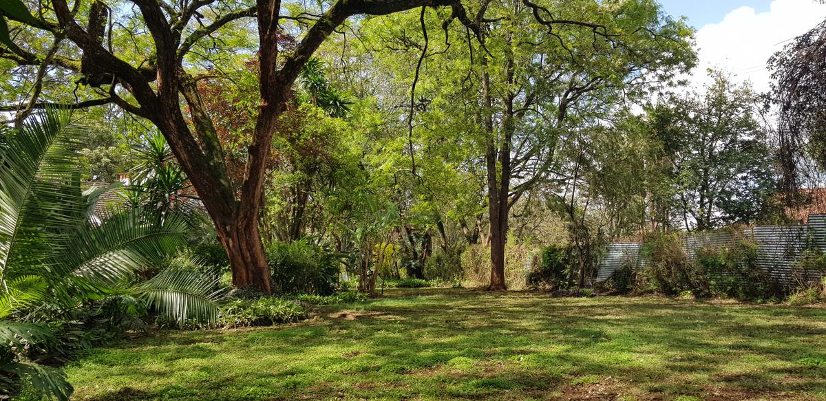 Residential Land at Mokoyot Close - 5