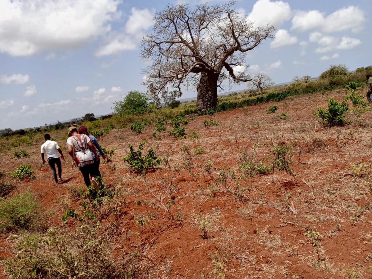 5,000 ft² Land at Mavueni - 2