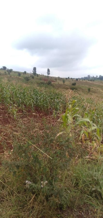 64,000 ft² Land at Kiambu Riabai - 13