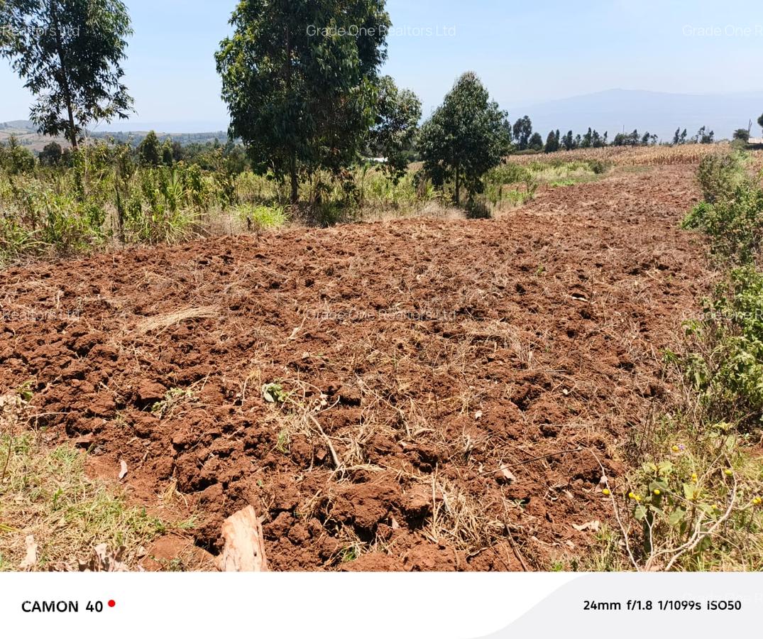 Land in Kikuyu Town - 1