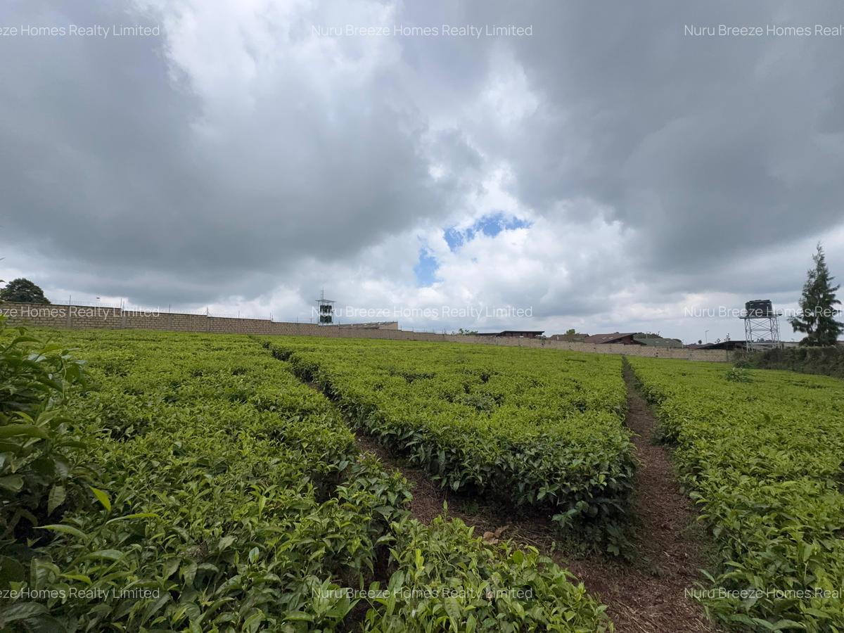 1 ac Land in Tigoni - 6