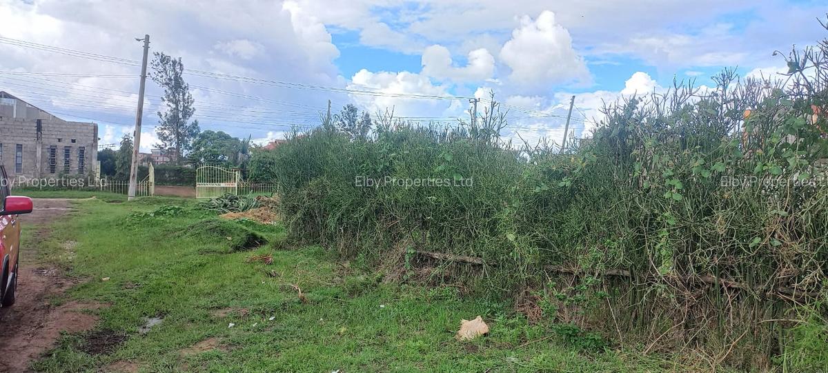 land shark nike football cleats