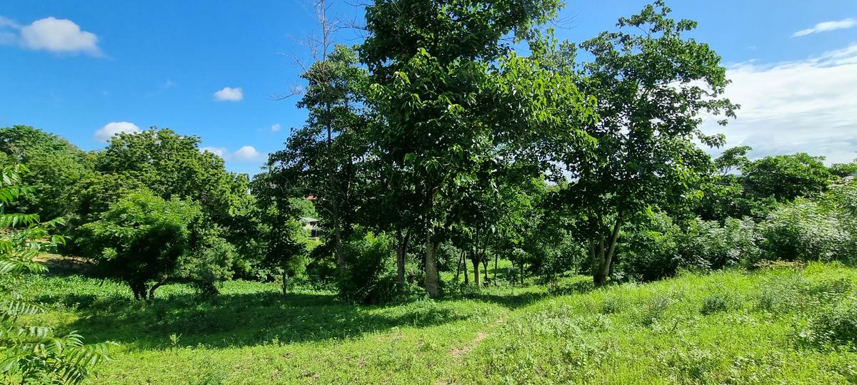 2.5 ac Land at Mtwapa Creekside - 8