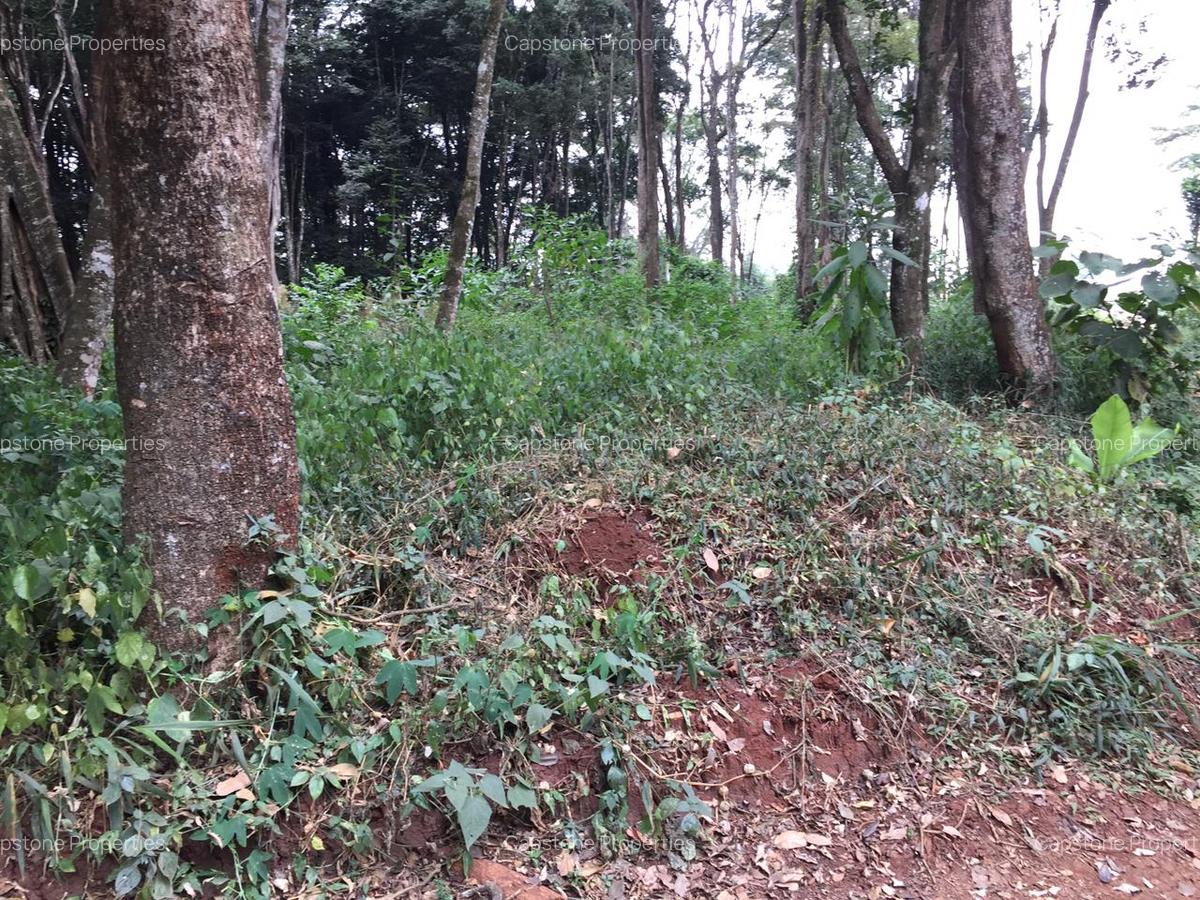 Residential Land in Karen - 5